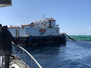 ABALIOĞLU LEZİTA BALIK KARABURUN İŞLETME 